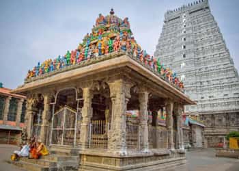 Tamil Nadu Pilgrimage Package