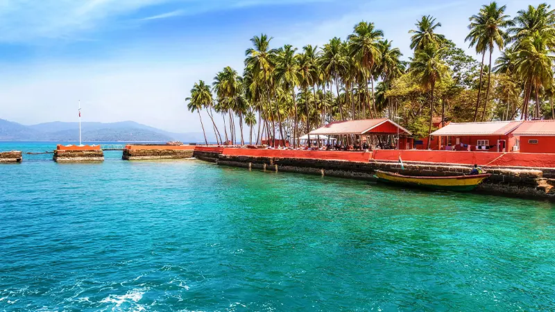 Palm-lined jetty and waterfront in the Andaman Islands