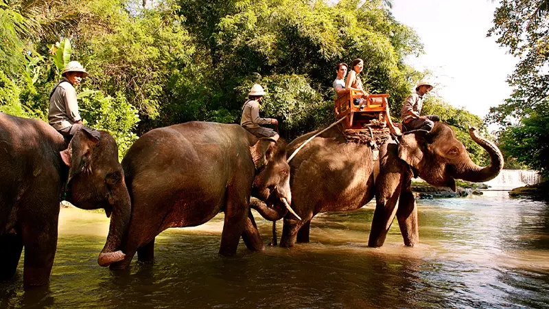 Bali Elephant Safari Experience