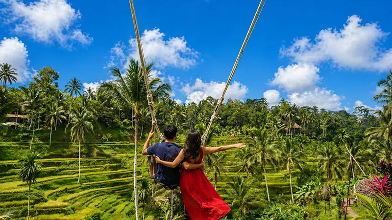Family enjoying the famous jungle swing over Bali rice terraces