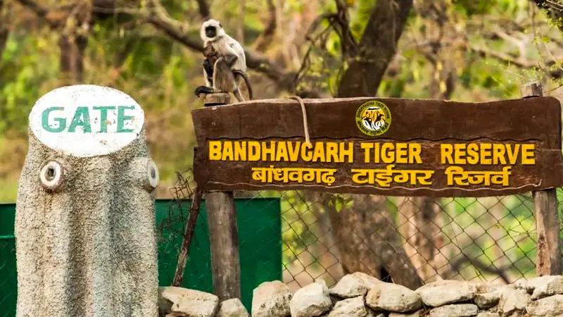 Entrance gate of Bandhavgarh Tiger Reserve in Madhya Pradesh