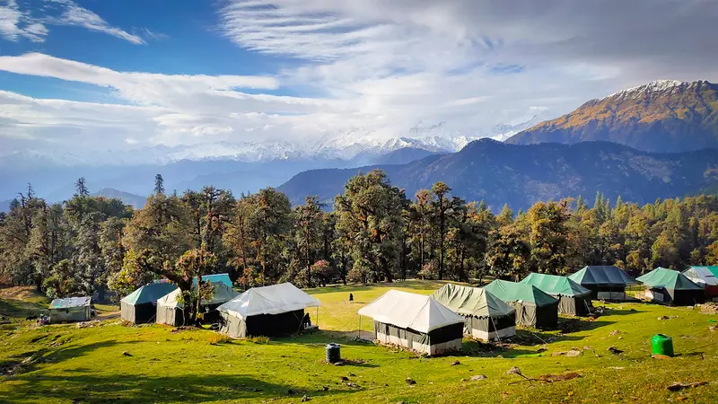 Scenic camping site in Chopta meadows, Uttarakhand