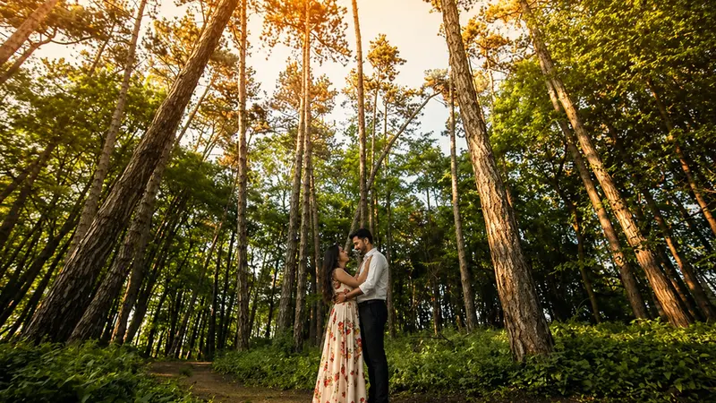 Coonoor Pine Forest Romantic Walk