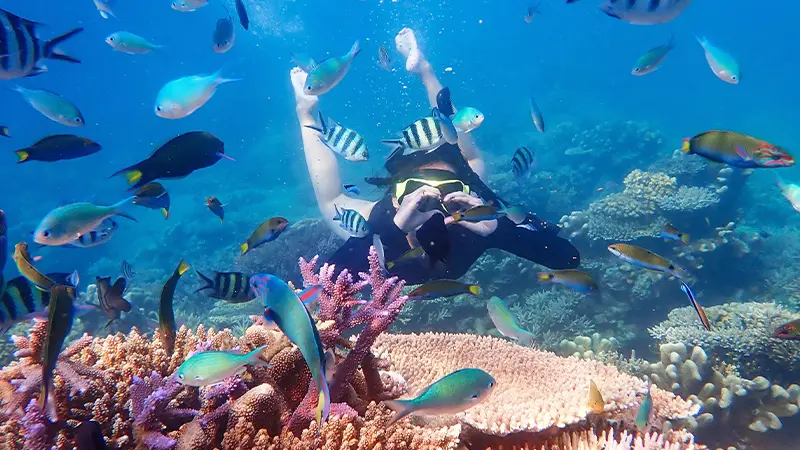 Snorkeler exploring colorful coral reefs in Andaman