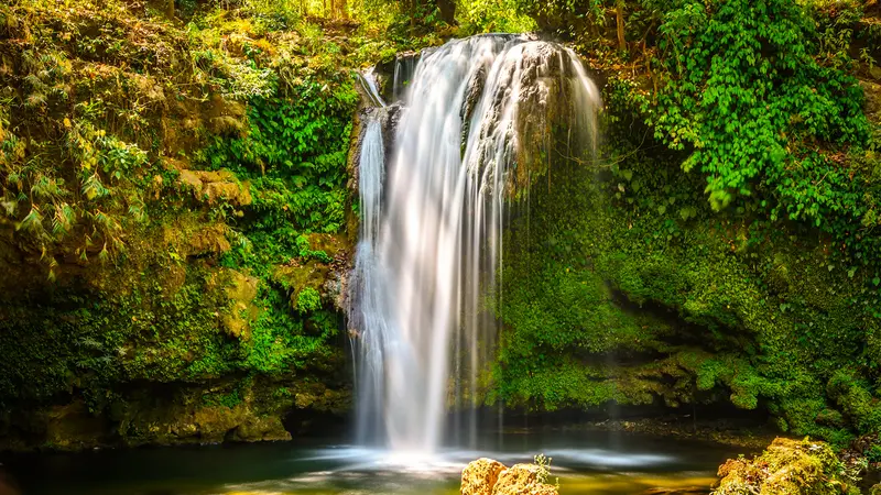 Corbett Falls Ramnagar