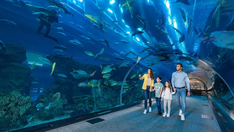 Dubai Aquarium Underwater Tunnel Family