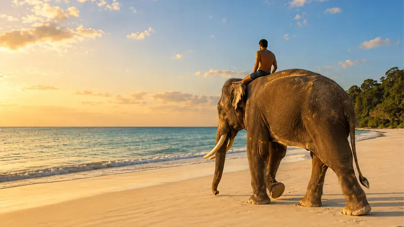 Elephant Beach Andaman Sunset Experience