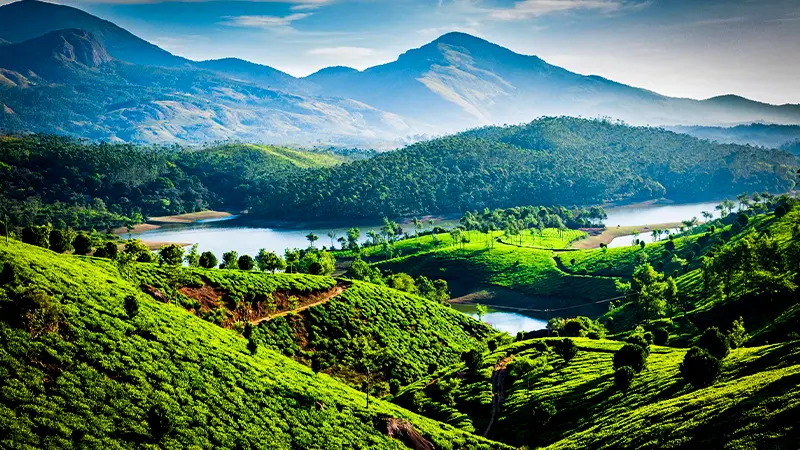 Emerald Valley Reservoir View