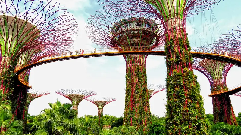 Gardens By The Bay Supertree Grove