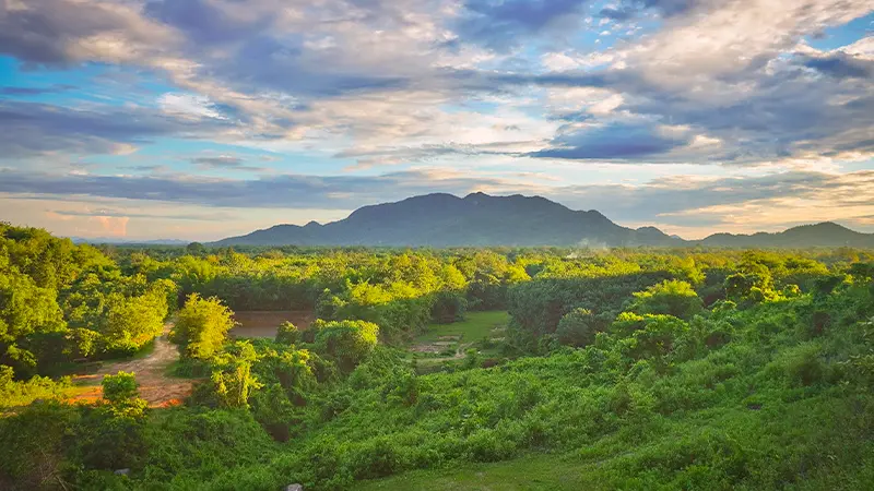 Scenic Garo Hills landscape with lush greenery in Meghalaya