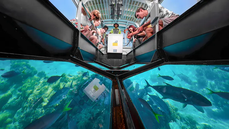 Glass Bottom Boat Coral Reef Experience
