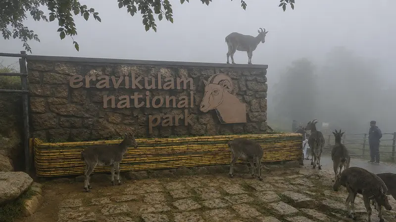 High Altitude Wildlife Sanctuary