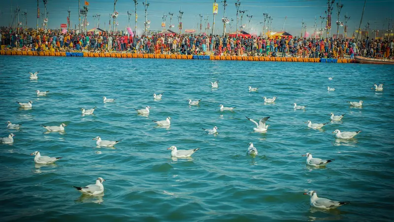 Holy Confluence Bird Sanctuary