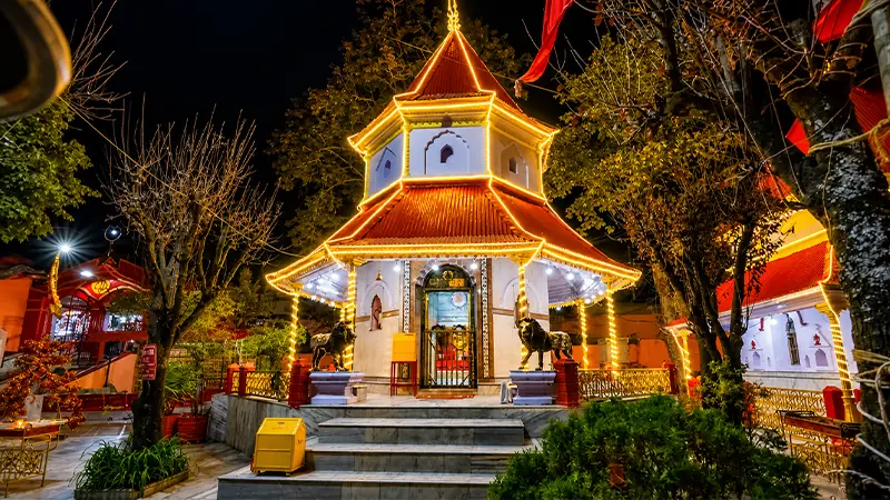 Beautifully illuminated hill shrine surrounded by trees at night