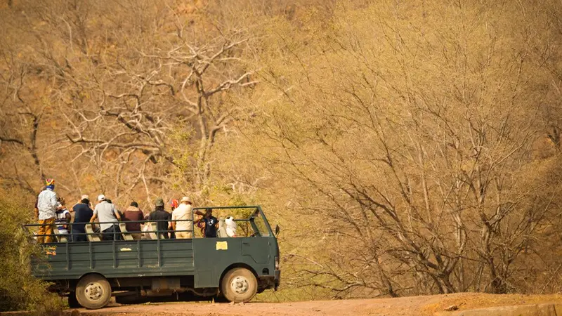 Open safari vehicle exploring Kanha National Park forest