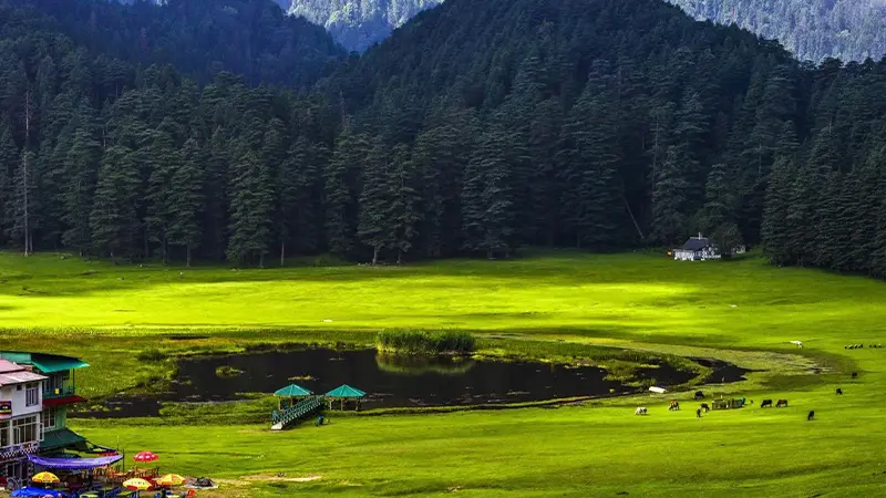 Khajjiar Lake Open Grassland