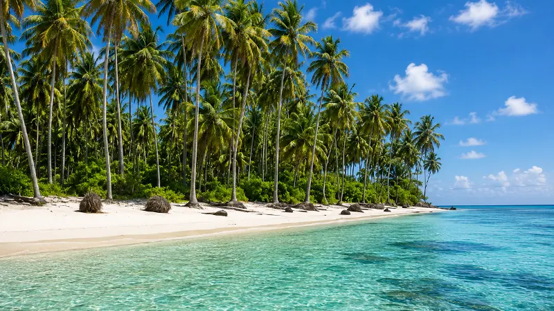 Palm lined white sand beach and clear blue sea in Lakshadweep