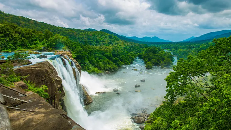 Majestic Rainforest Waterfall View