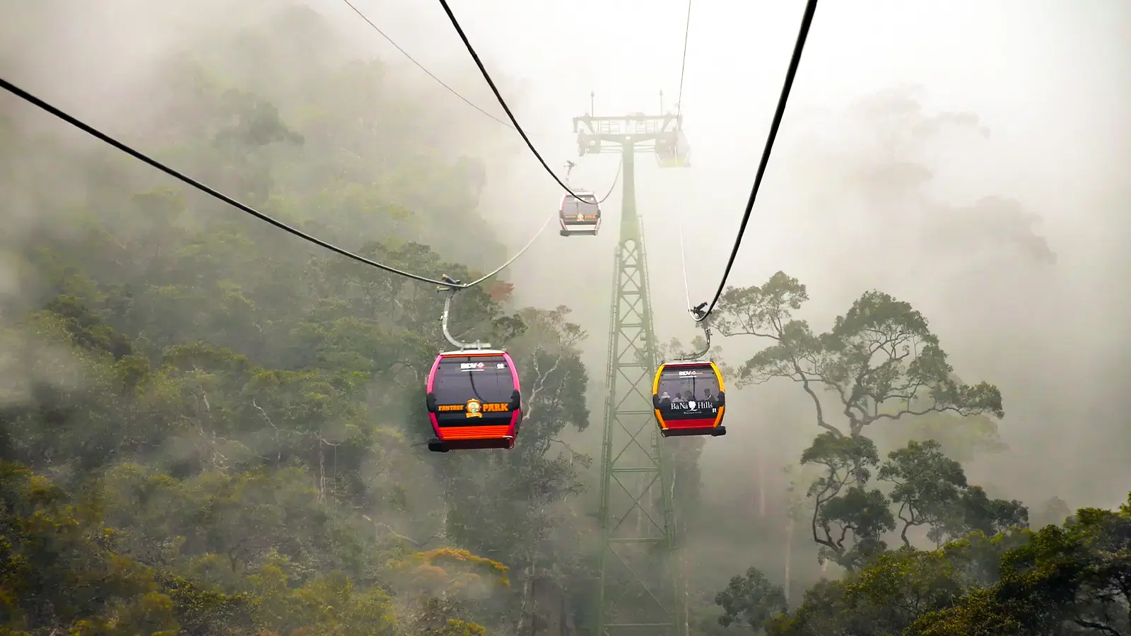 Misty Mountain Cable Car Ride