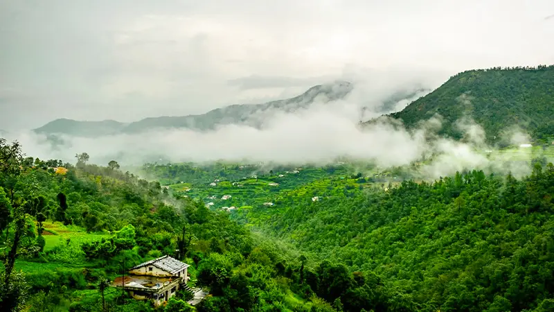 Misty Mountain Valley Kumaon Hills