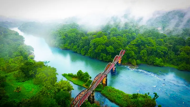 Scenic river crossing through dense rainforest surrounded by morning mist