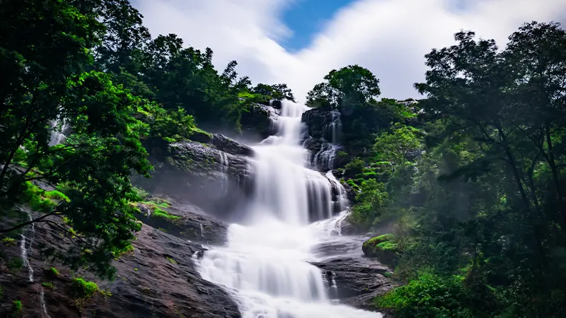 Multi Tier Jungle Waterfall