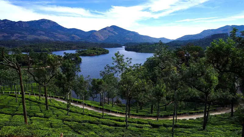 Munnar Tea Estate Lake Landscape