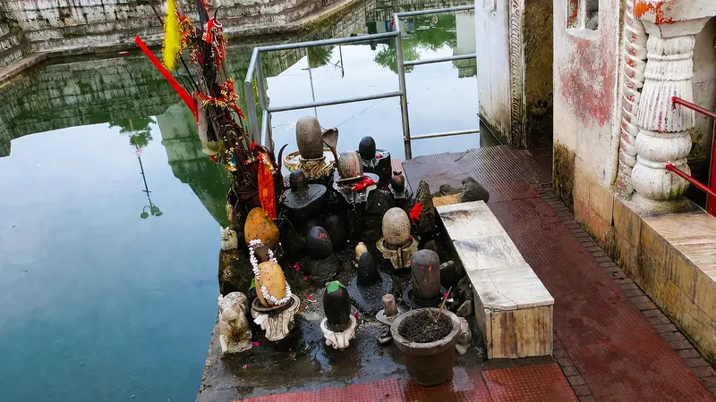 Narmada Banalinga Sacred Shrine