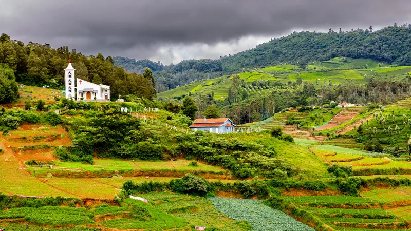 Nilgiri Mountain Village Landscape