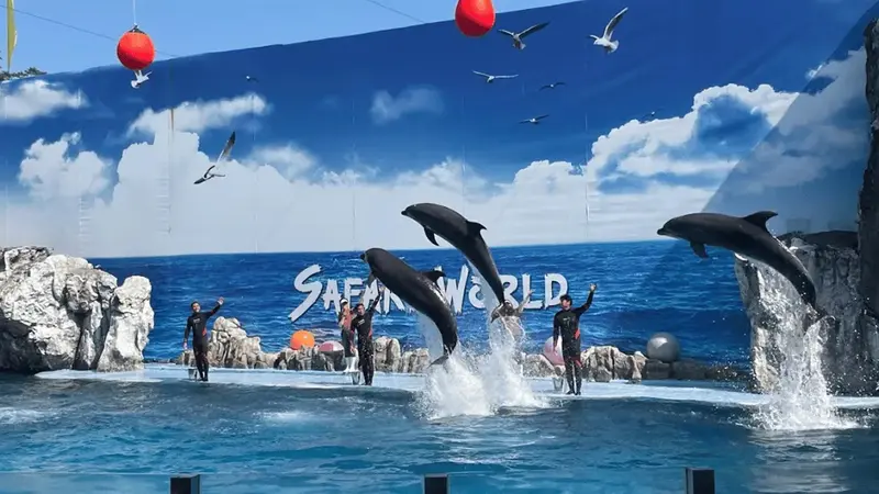 Ocean Park Dolphin Show Hong Kong