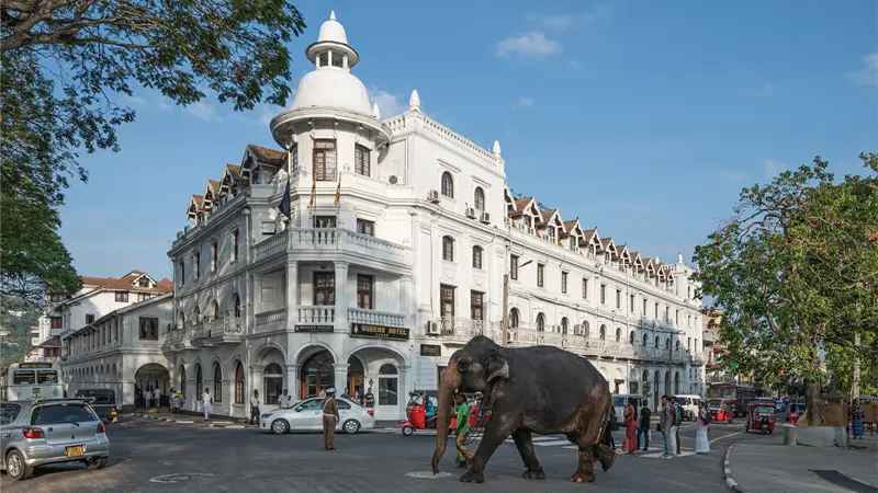 Old Dutch Hospital Colombo