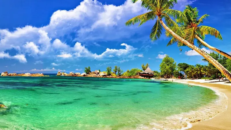 Palm-lined white sand beach with crystal clear water in Andaman