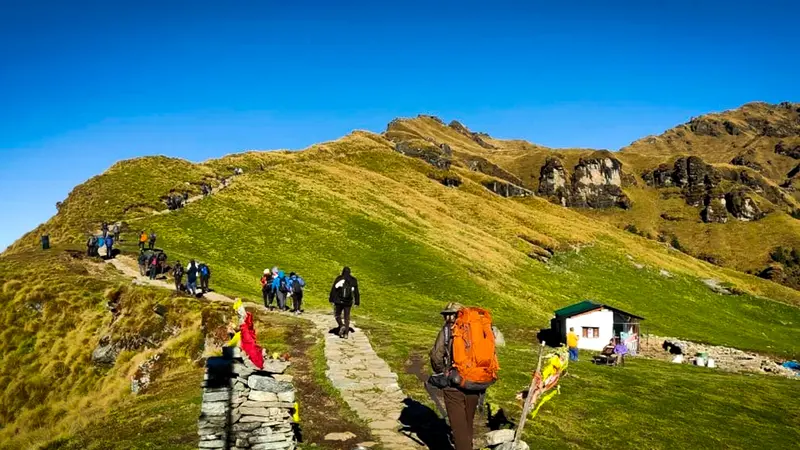 Panch Kedar Trek Alpine Meadow Trail