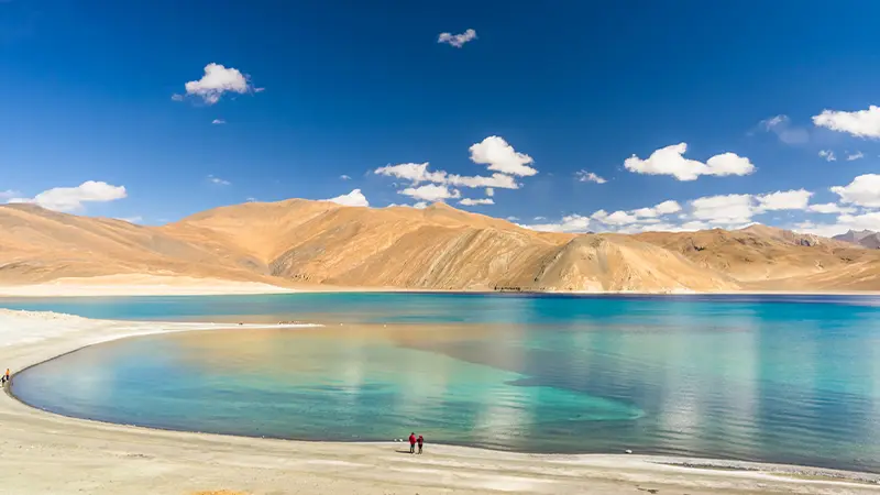 Pangong Lake Shoreline