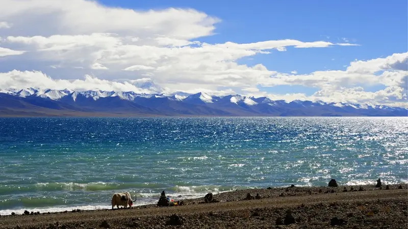 Pangong Style Himalayan Lake Tibet Shoreline