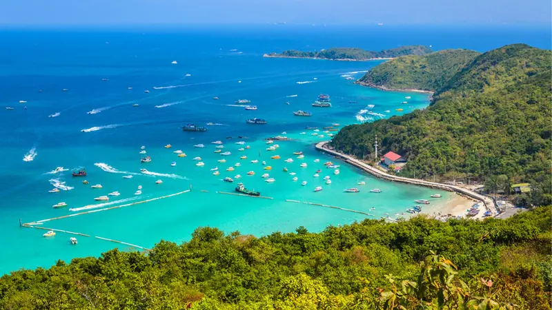 Pattaya Coral Island Panoramic Bay