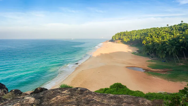 Pristine Palm Fringed Coastline