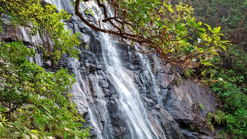 Rajat Prapat Silver Falls Pachmarhi