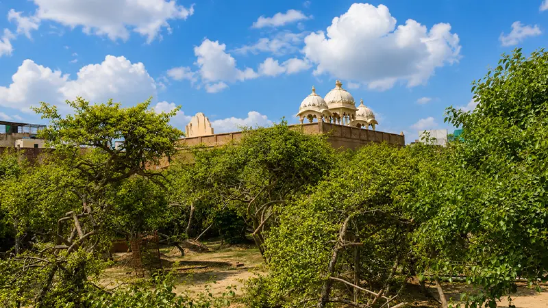 Sacred Grove Heritage Landscape Braj