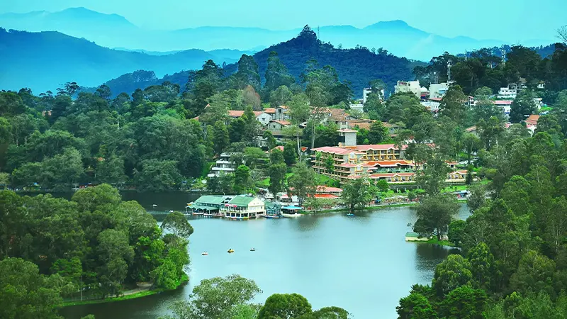 Scenic Hill Lake Townscape