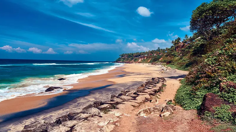 Serene Coastal Shoreline