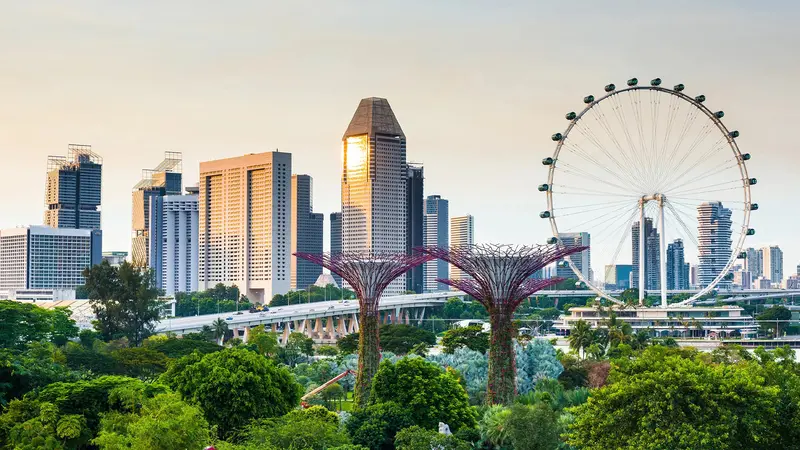 Singapore Flyer City View