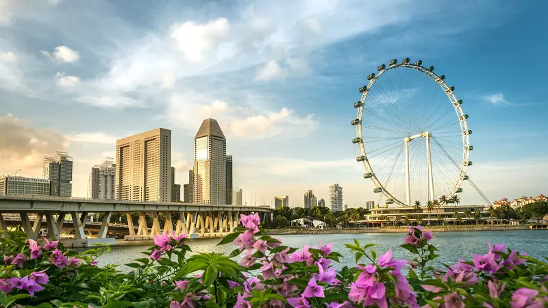 Singapore Flyer overlooking the modern skyline and Marina Bay waterfront
