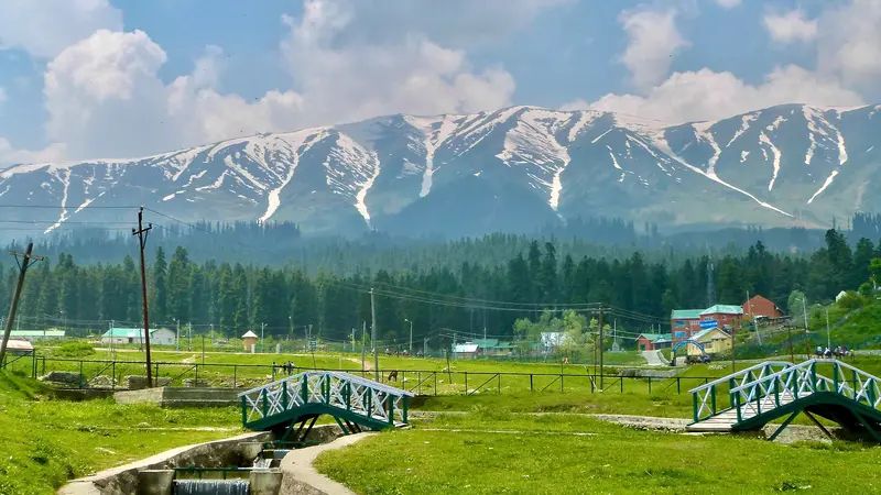 Sonamarg Alpine Meadows