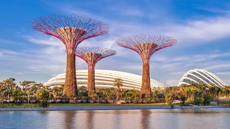 Supertree Grove Gardens By The Bay