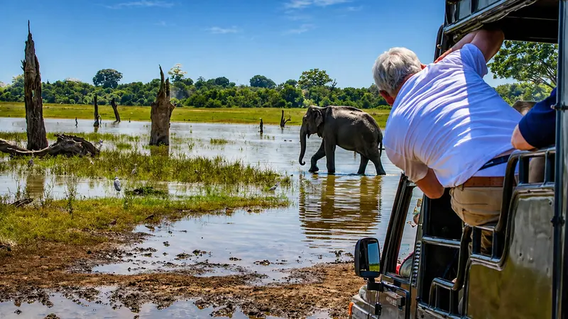 Udawalawe Elephant Safari Jeep Experience