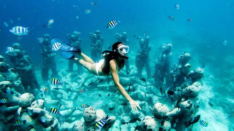 Underwater Marine Life Andaman