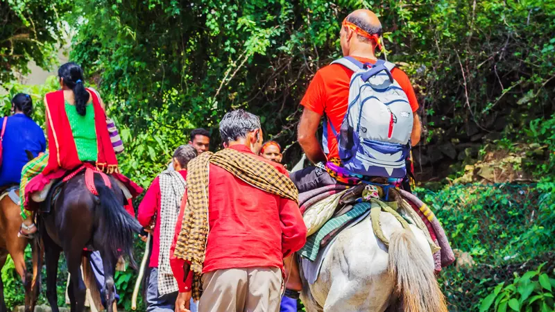 Vaishno Devi Pony Pilgrimage Route
