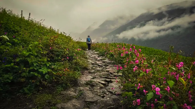 Valley Of Flowers Trek Trail
