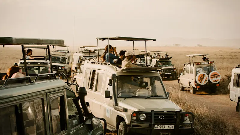 Tourists enjoying wildlife jeep safari in Madhya Pradesh